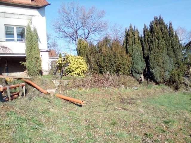 Bild von