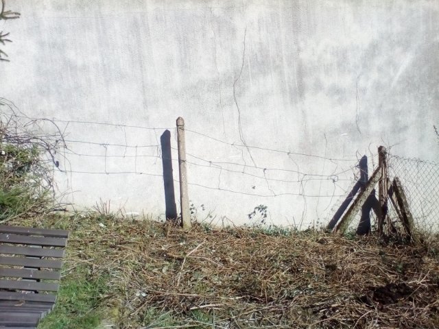 Bild von