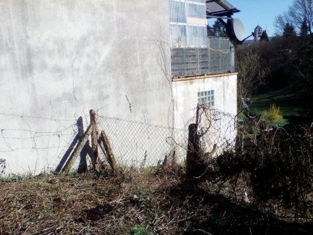 Bild von