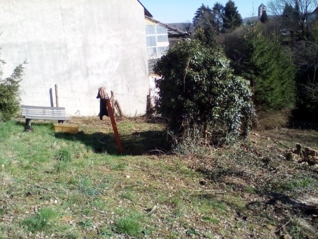 Bild von