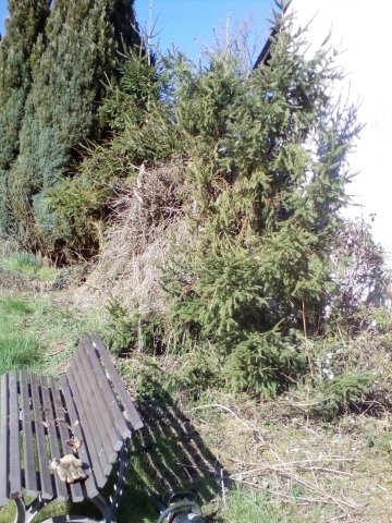 Bild von