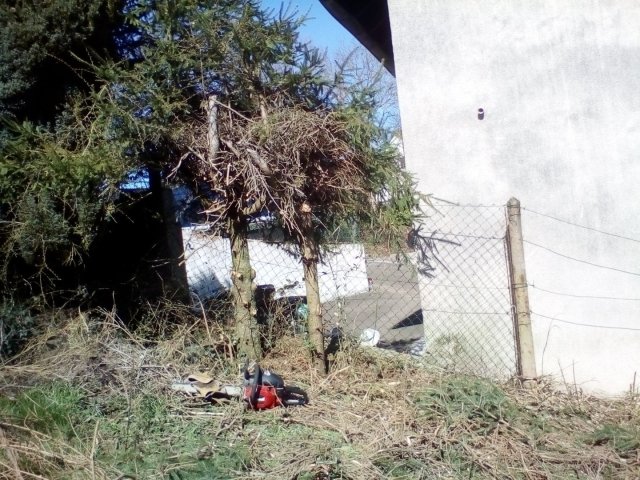 Bild von