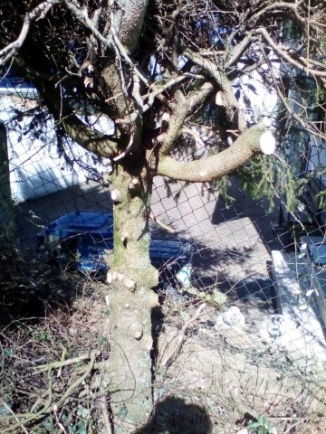 Bild von