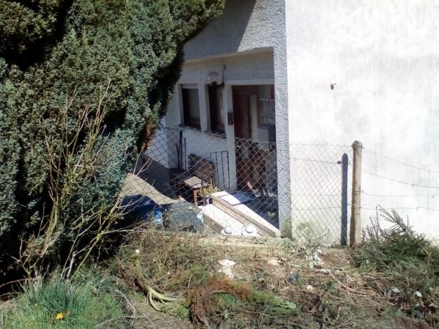 Bild von