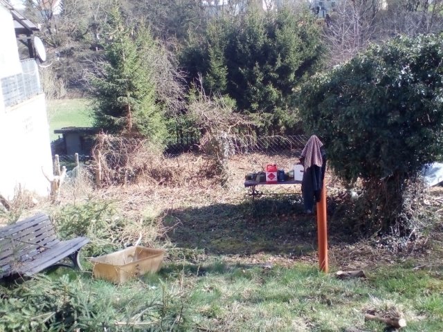 Bild von