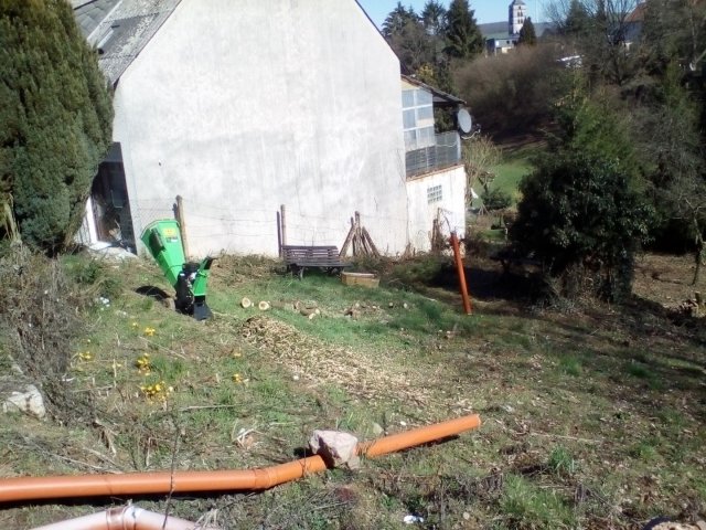 Bild von