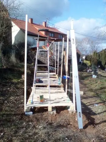 Bild von