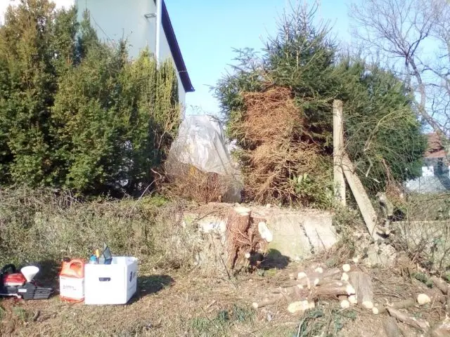 Bild von