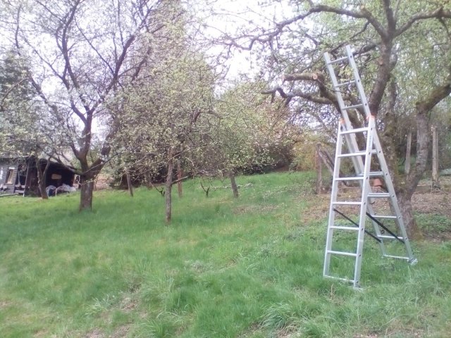 Bild von
