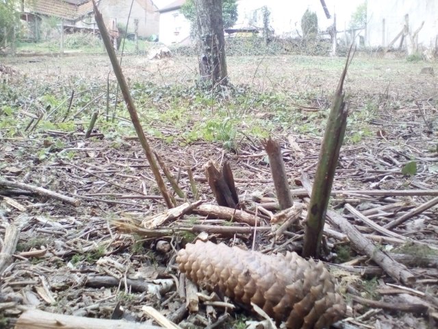 Bild von