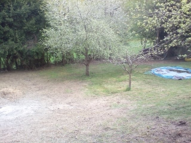 Bild von