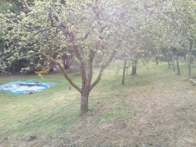 Bild von