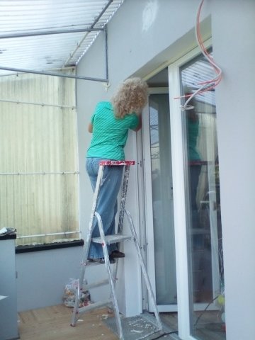 Bild von