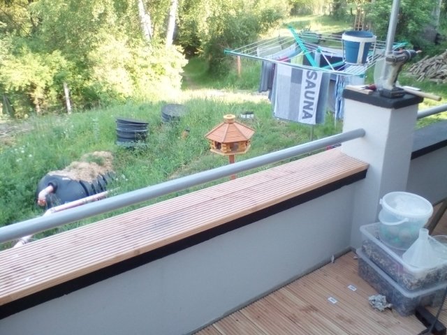 Bild von