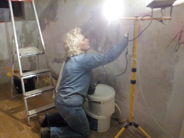 Bild von