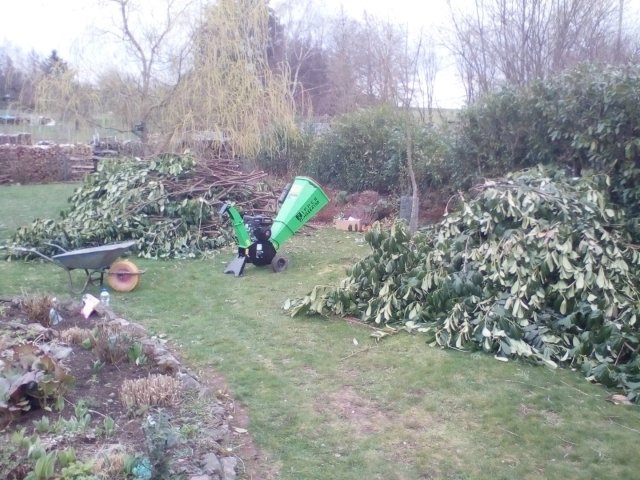 Bild von
