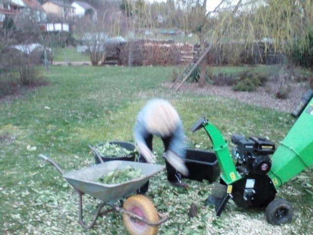 Bild von