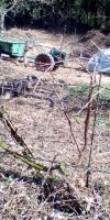 Bild von