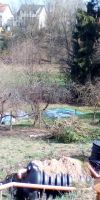 Bild von