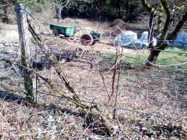 Bild von