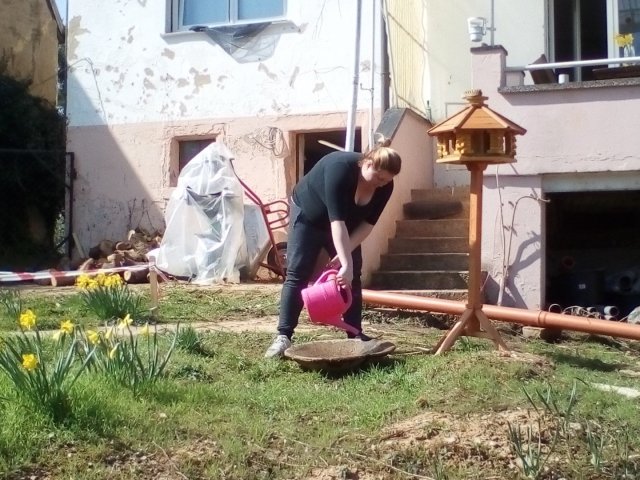 Bild von