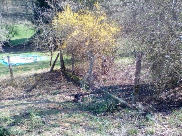 Bild von