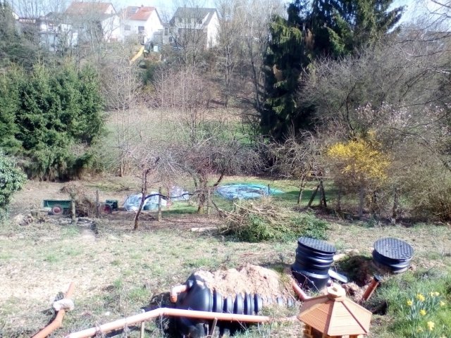 Bild von