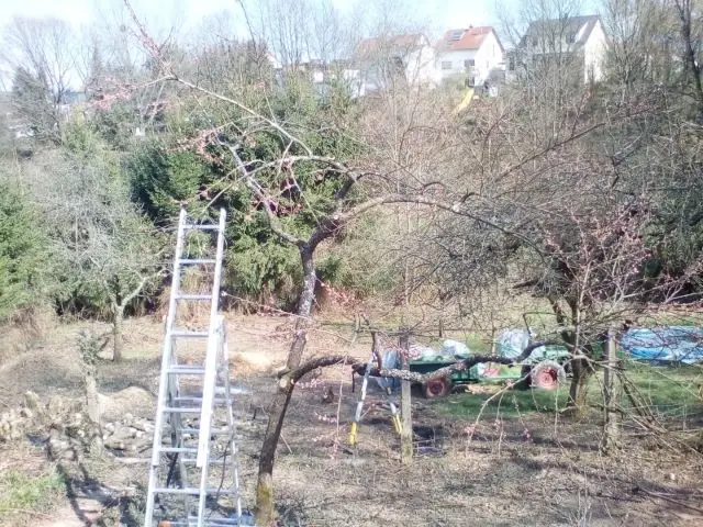 Bild von