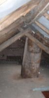 Bild von
