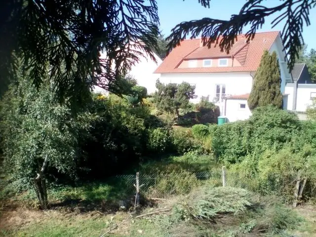 Bild von
