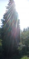 Bild von