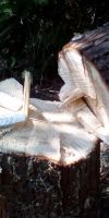Bild von