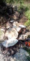 Bild von