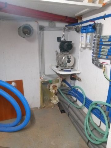 Bild von