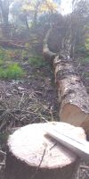 Bild von