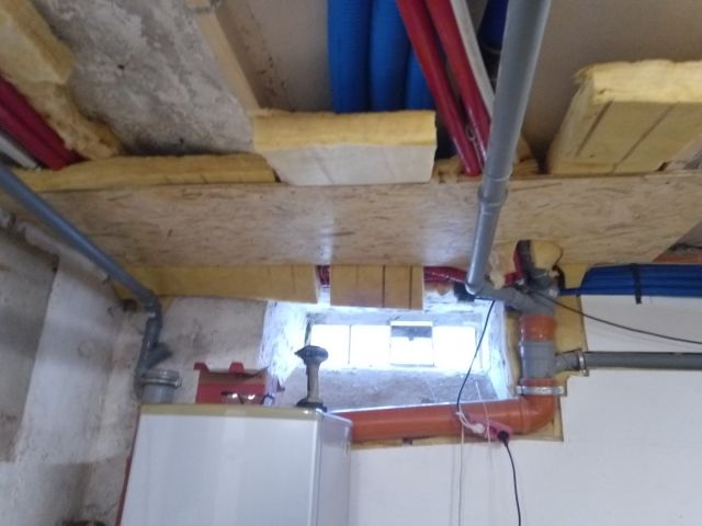 Bild von