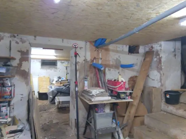 Bild von
