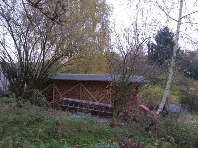 Bild von