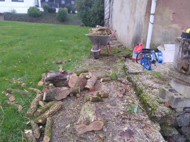 Bild von