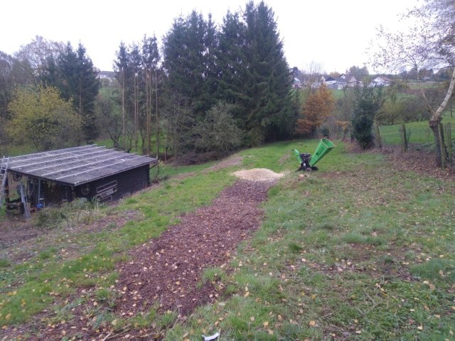 Bild von