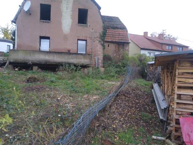 Bild von