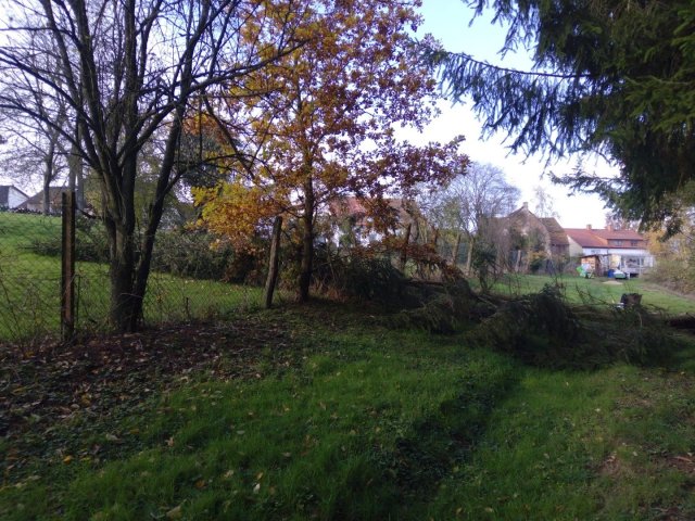 Bild von