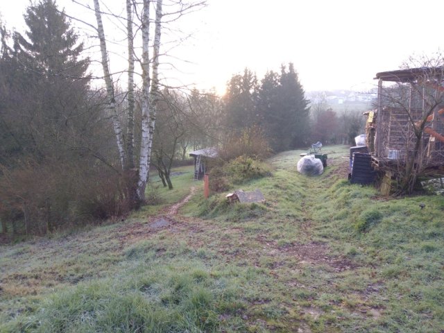 Bild von