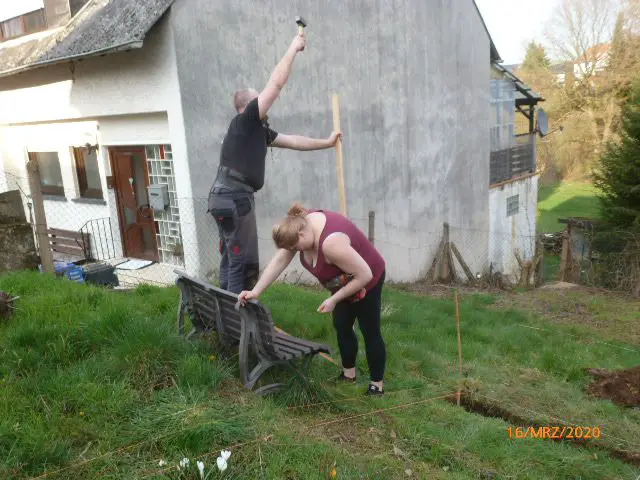 Bild von