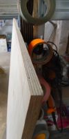 Bild von