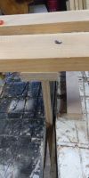 Bild von