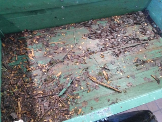 Bild von