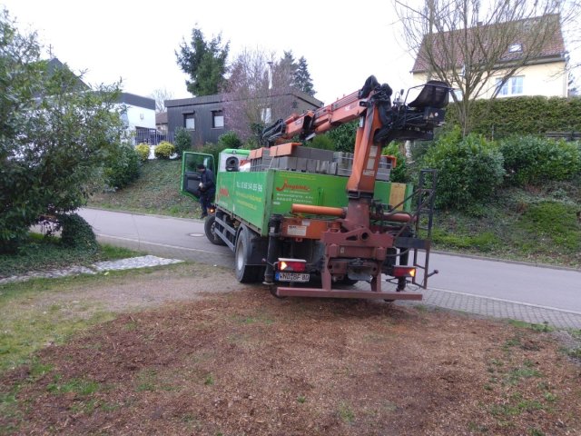 Bild von