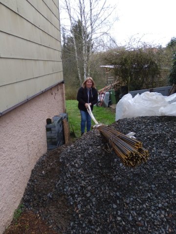 Bild von