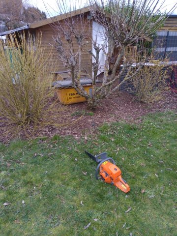 Bild von